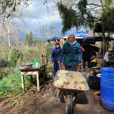 Bildungsangebote zu Bewegung, Kreativit�t, Natur